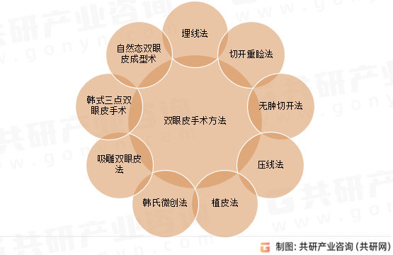 2023年中国双眼皮手术行业发展历程及行业发展趋势分析[图]bobty下载(图1)