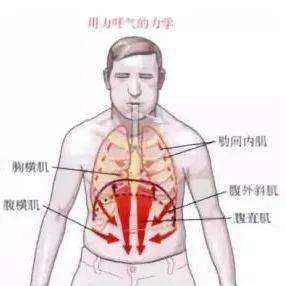 主播秘笈 | 发声技巧，说话不累的秘诀