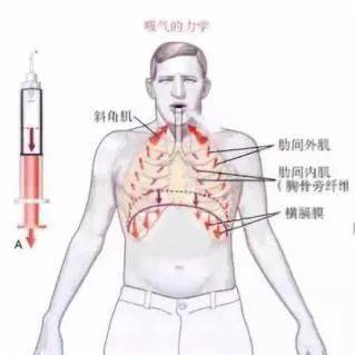 主播秘笈 | 发声技巧，说话不累的秘诀