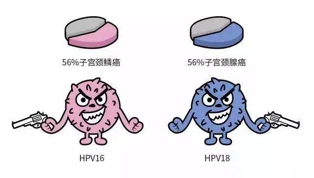 hpv是什么？ 感染hpv的途径有哪些？如何预防hpv感染？