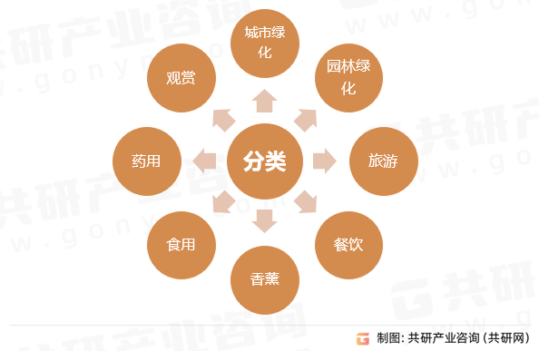 2023年中国盆栽植物电商行业产业链及市场规一竞技网址模分析[图](图1)