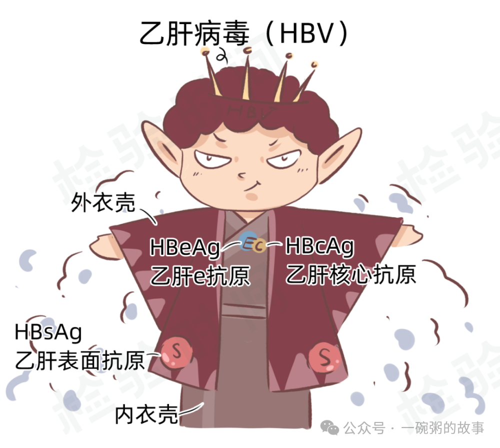 关于乙肝的病因问题