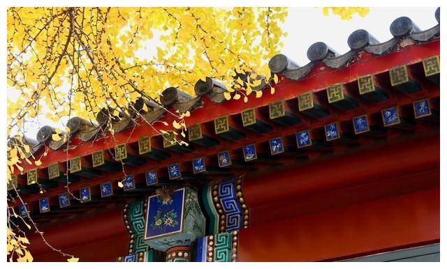 杨丽萍翩翩凤凰造型，如凤凰涅槃重生，焕发新生命的美丽。