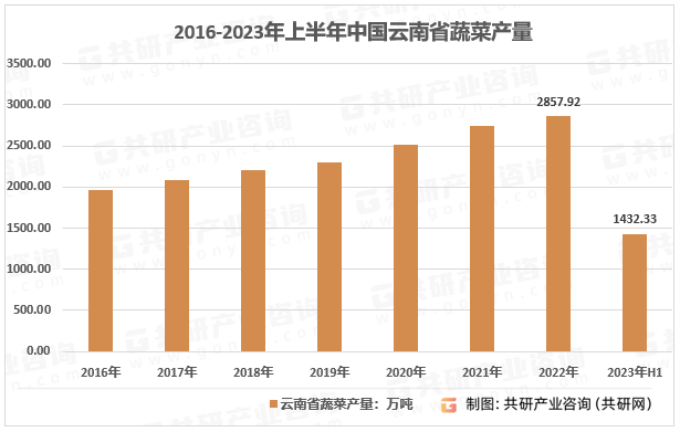 多米体育中国蔬菜种植行业发展态势与战略咨询(图2)