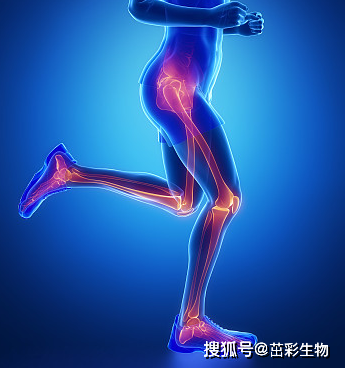 免费USDT/USDC游戏推荐/注册送币链游大全/边玩边赚新选择骨诱导因子(OGN)