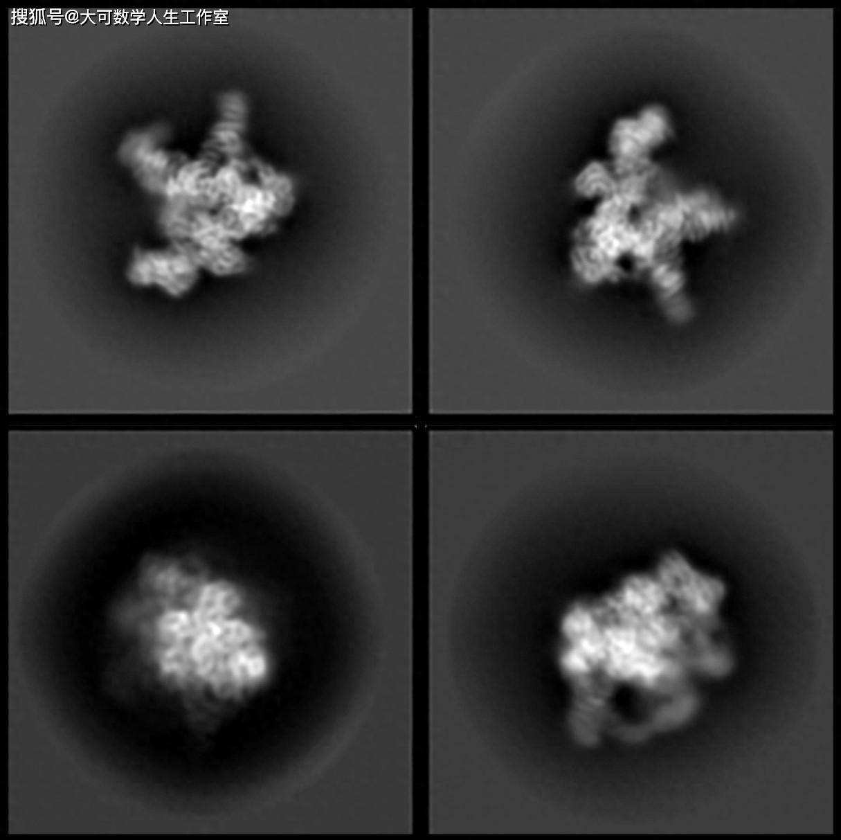 大众【2024欧洲杯网上投注网】-荷甲大结局：埃因霍温夺冠与费耶诺德携手踢欧冠，阿贾克斯第五