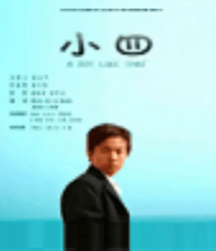 片上映后，口碑非常好，还拿下了第二届国际青少年电影节最佳影片银奖。而拍摄《小四》这部作品的经历，不仅