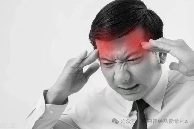 你在为植物神经紊乱头晕、心慌、焦虑烦躁所困扰吗？快来试试凝神养元汤！
