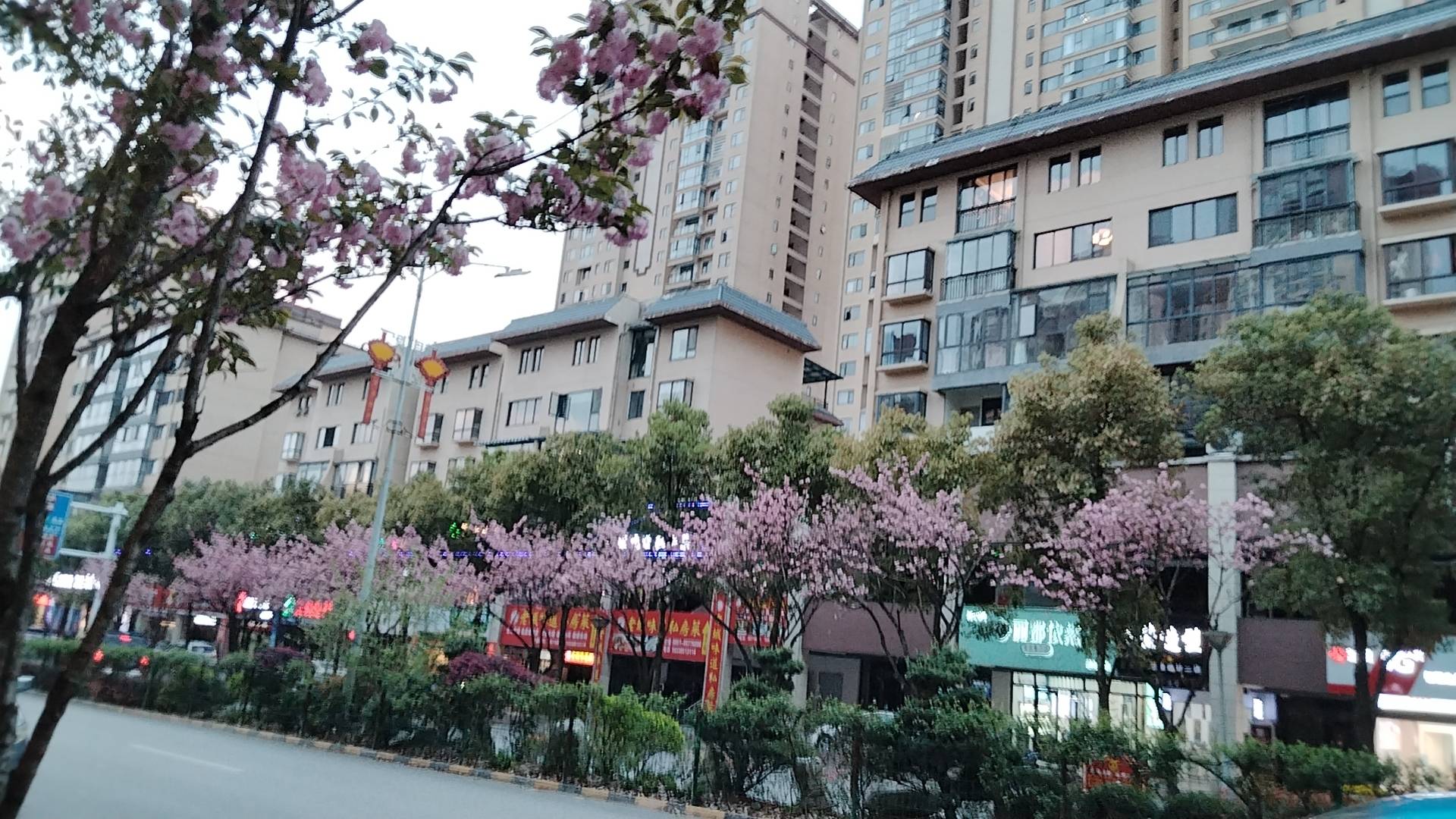 潮新闻:一肖一码免费公开资料大全-城市：苏州锚定“人才友好型城市”打造一流创新生态 让人才成为决胜未来的最大优势  第8张