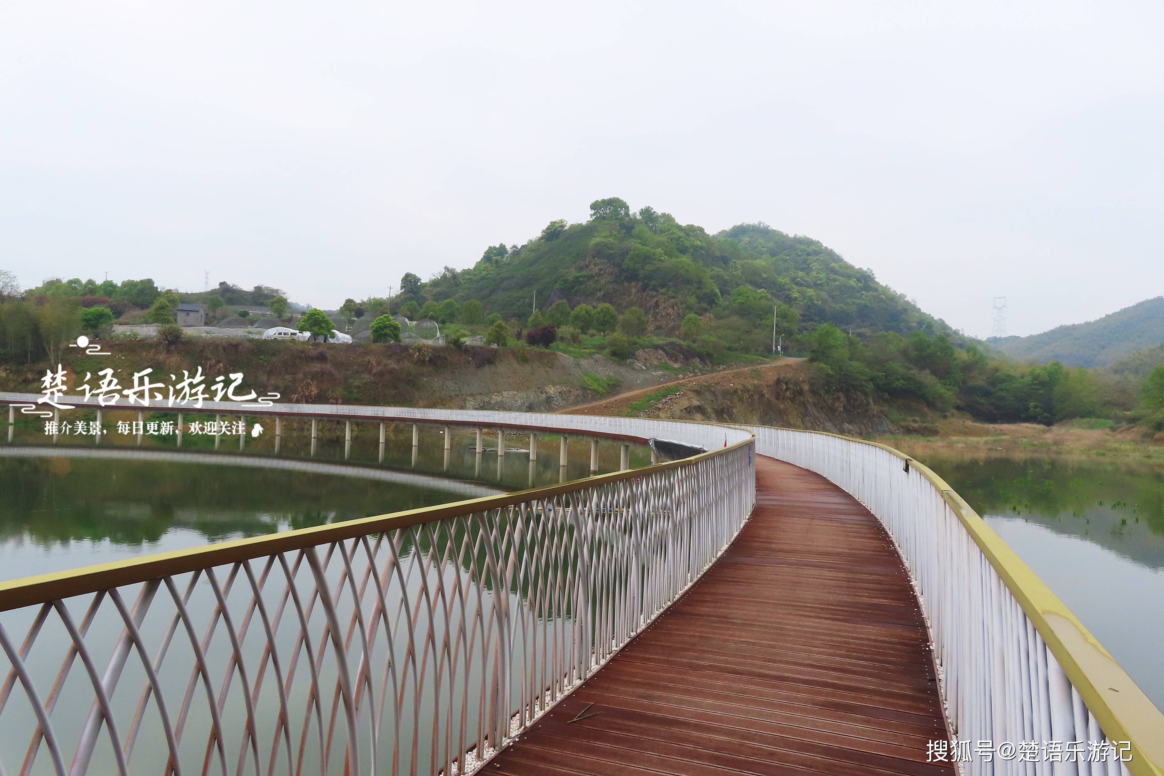 浙江宁波最早的旅游乡村，紫藤花也开了，多处景观成为网红打卡地