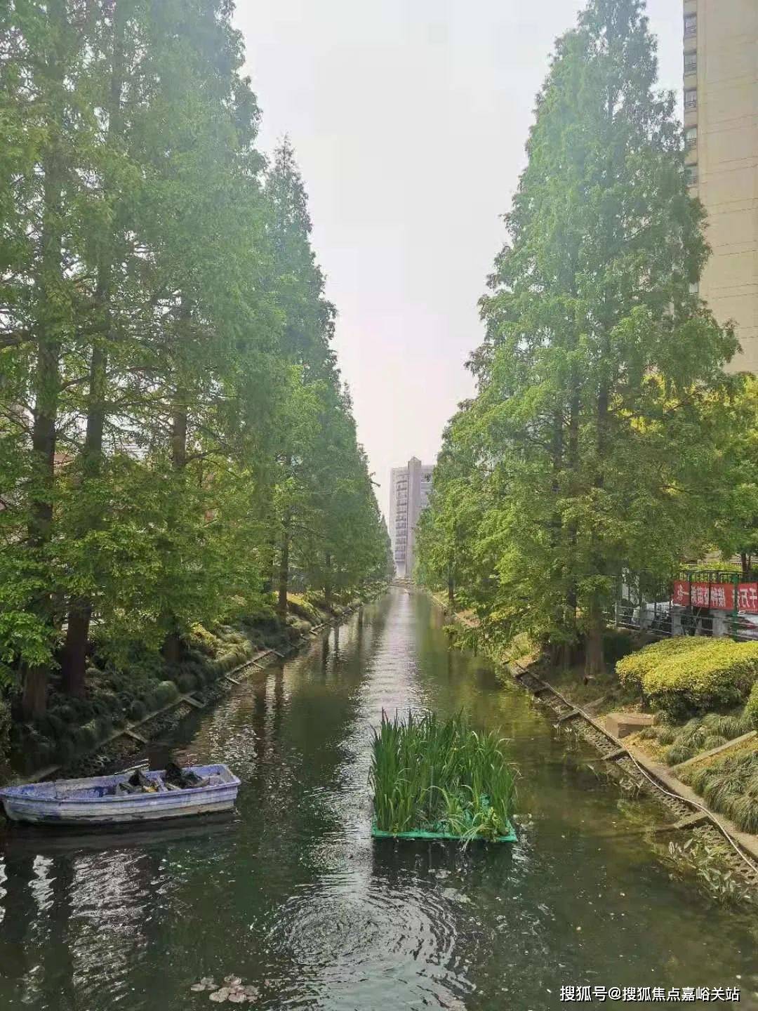 古北99（古北99）首页网站欢迎您丨上海闵行古北99最新价格-户型配套