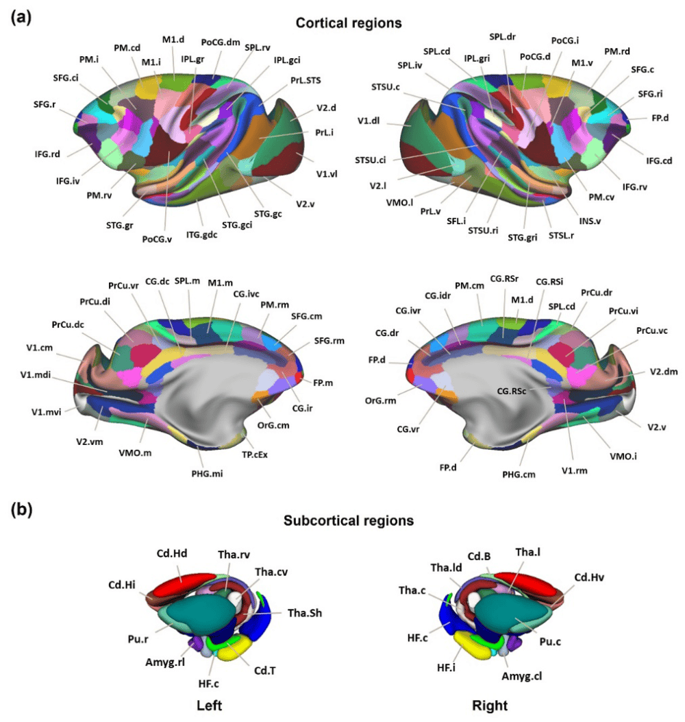 搜视网：澳门一码一肖一特一中酷知经验网-新闻：以新闻手法、文学笔法写就的典范之作 ——评报告文学《山这边，山那边》