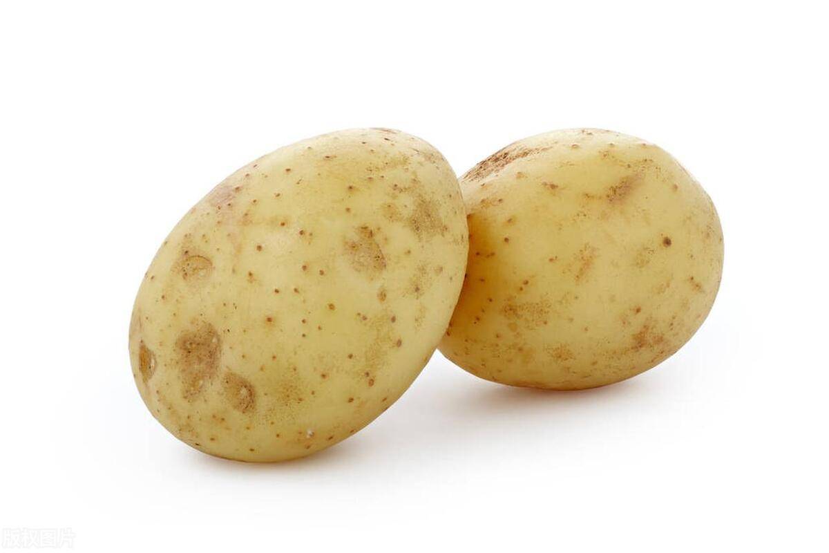 土豆：美食界的多面手免费开奖结果查询