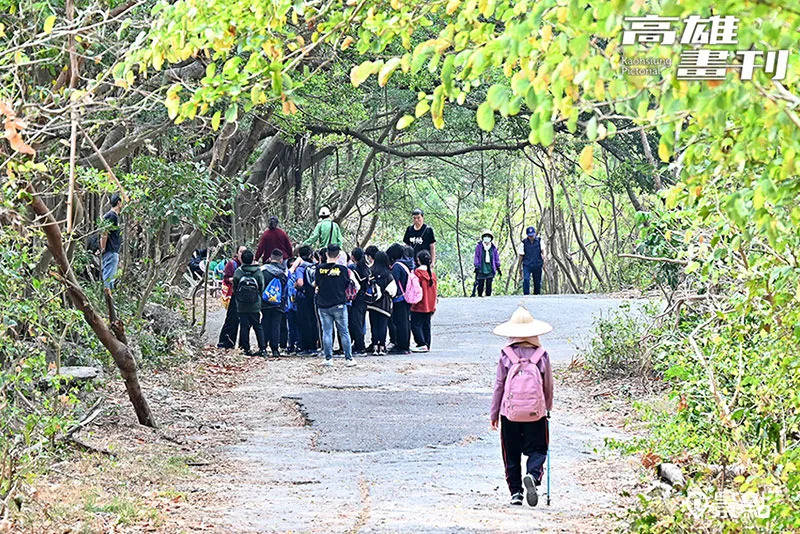 🌸【2024年管家婆一奖一特一中】🌸_上游观察｜重庆城市“青和力” 吸引青年驻足扎根