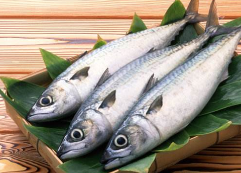 便宜又好吃的海鱼有哪些？海边人常吃这“4种”，肉鲜味美价格低