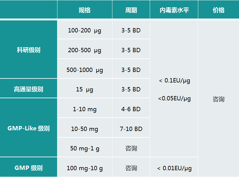 质粒载体构建一文秒懂