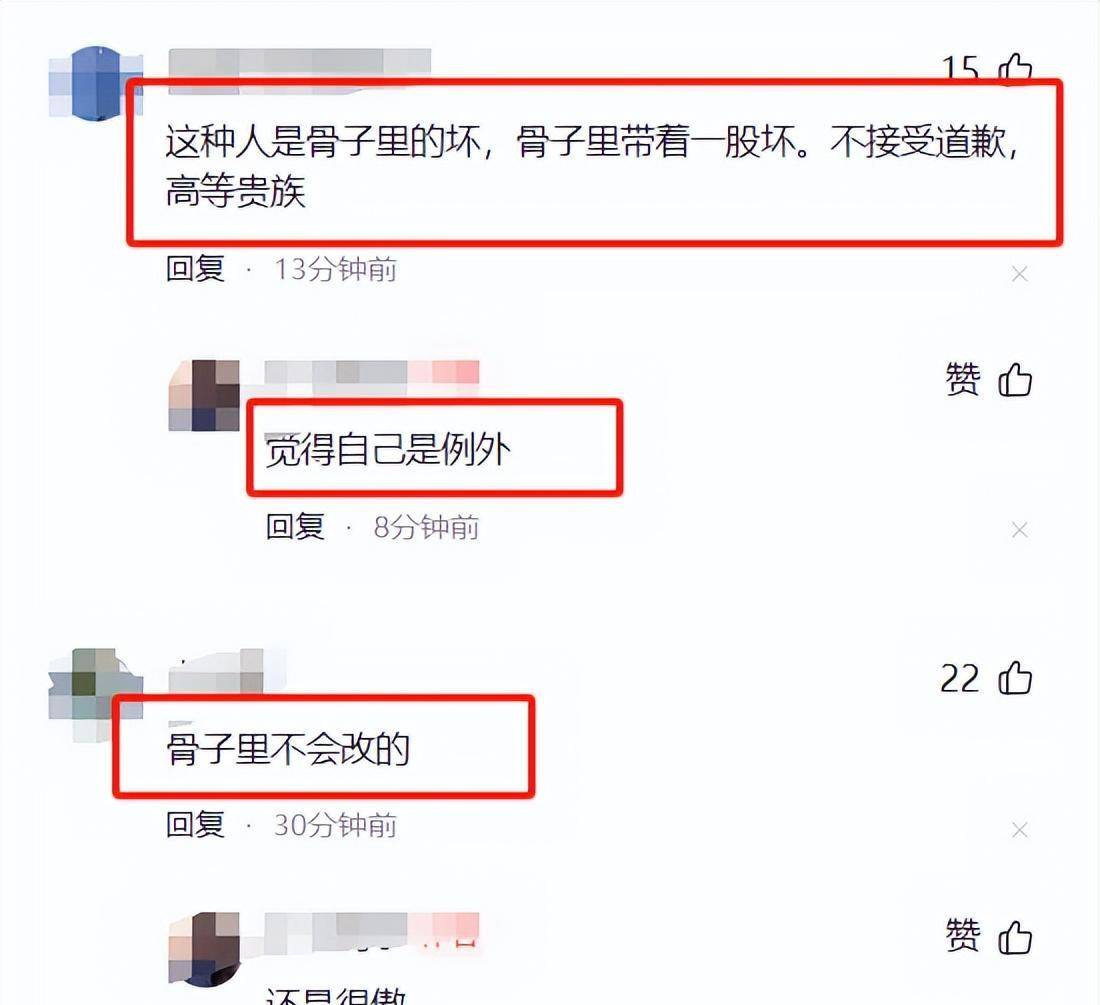 使馆车堵路后续:余女士公开道歉,网友为何却不买账?-使馆车编号