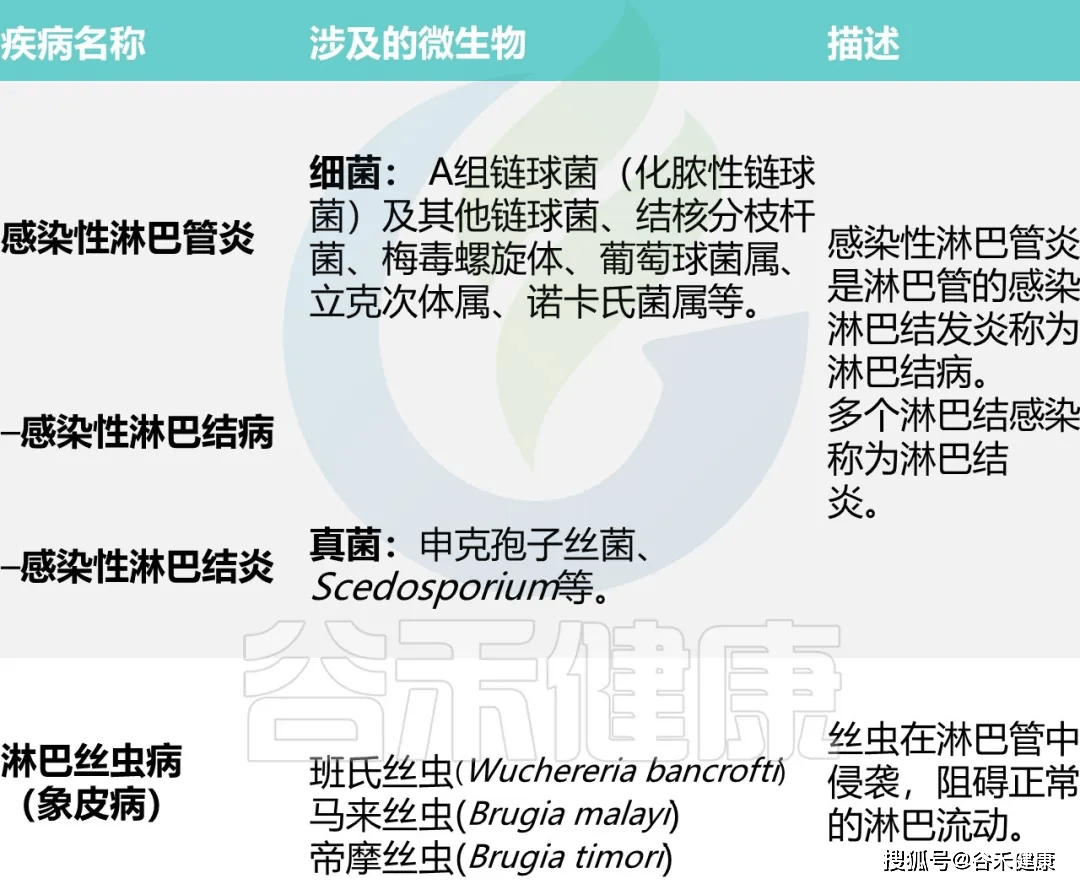 文章配图-8