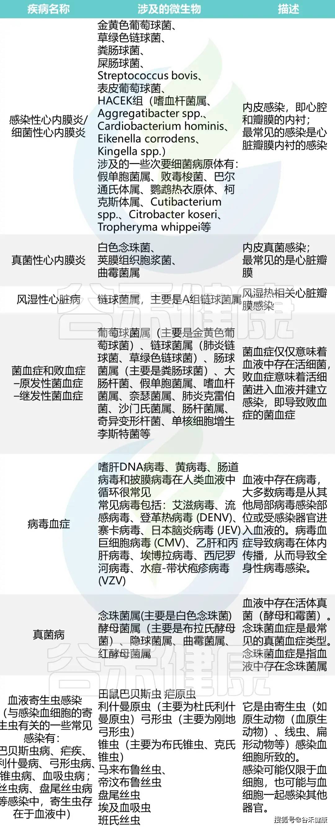 文章配图-2
