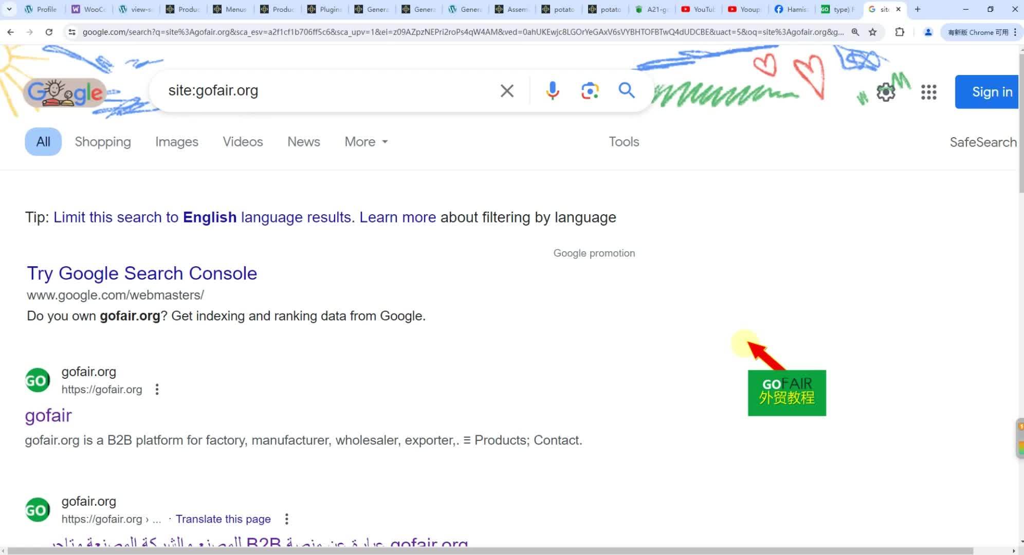 谷歌seo优化13:查询网站谷歌收录方式,简单的site指令就可作为参