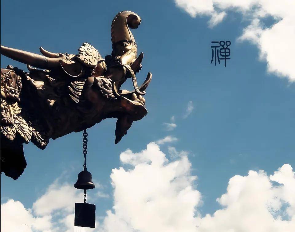 原创不要困在欲望的茧里
