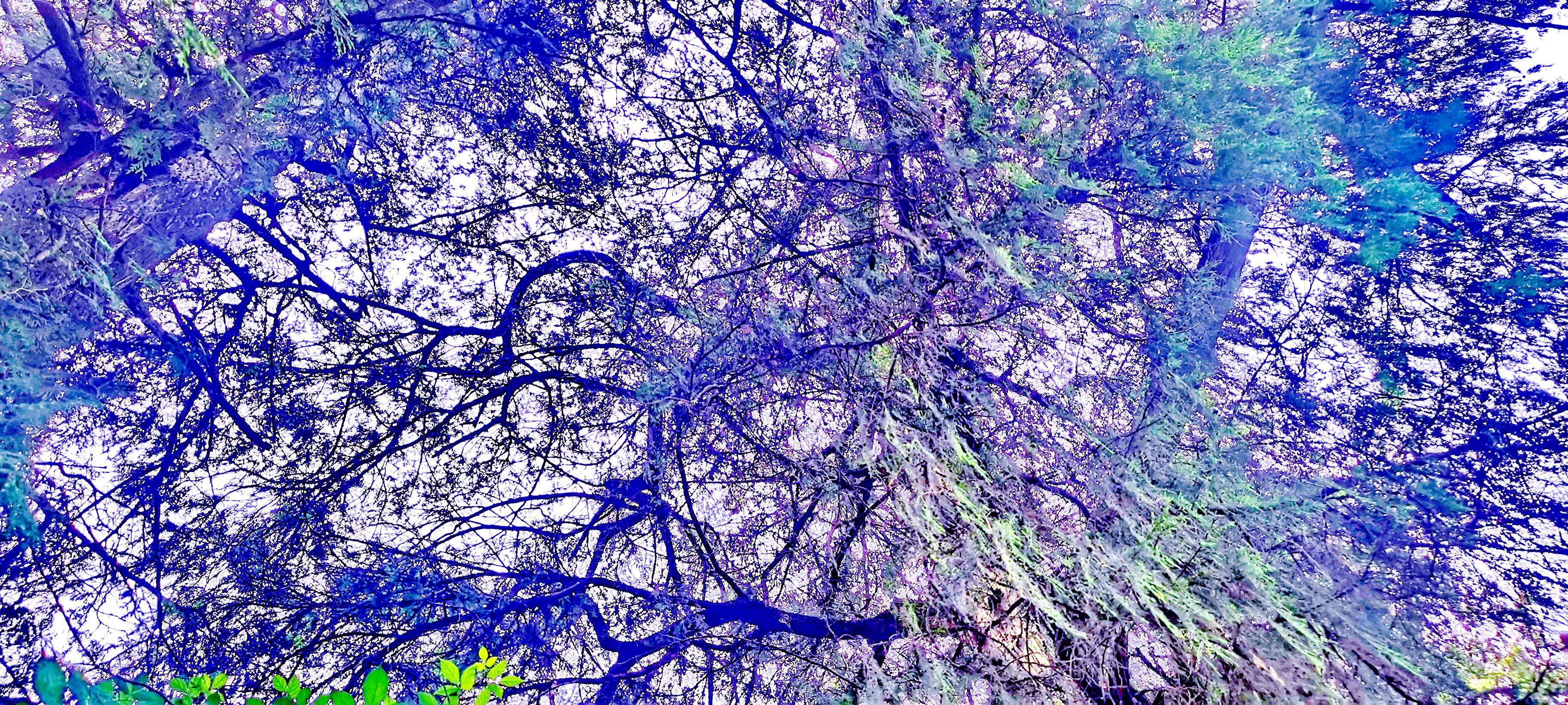 四川梓潼 | 弥江桥:一座木结构廊桥背后的动人故事