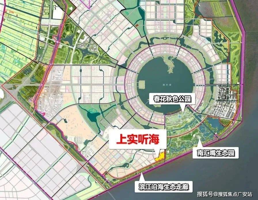 文章配图-79