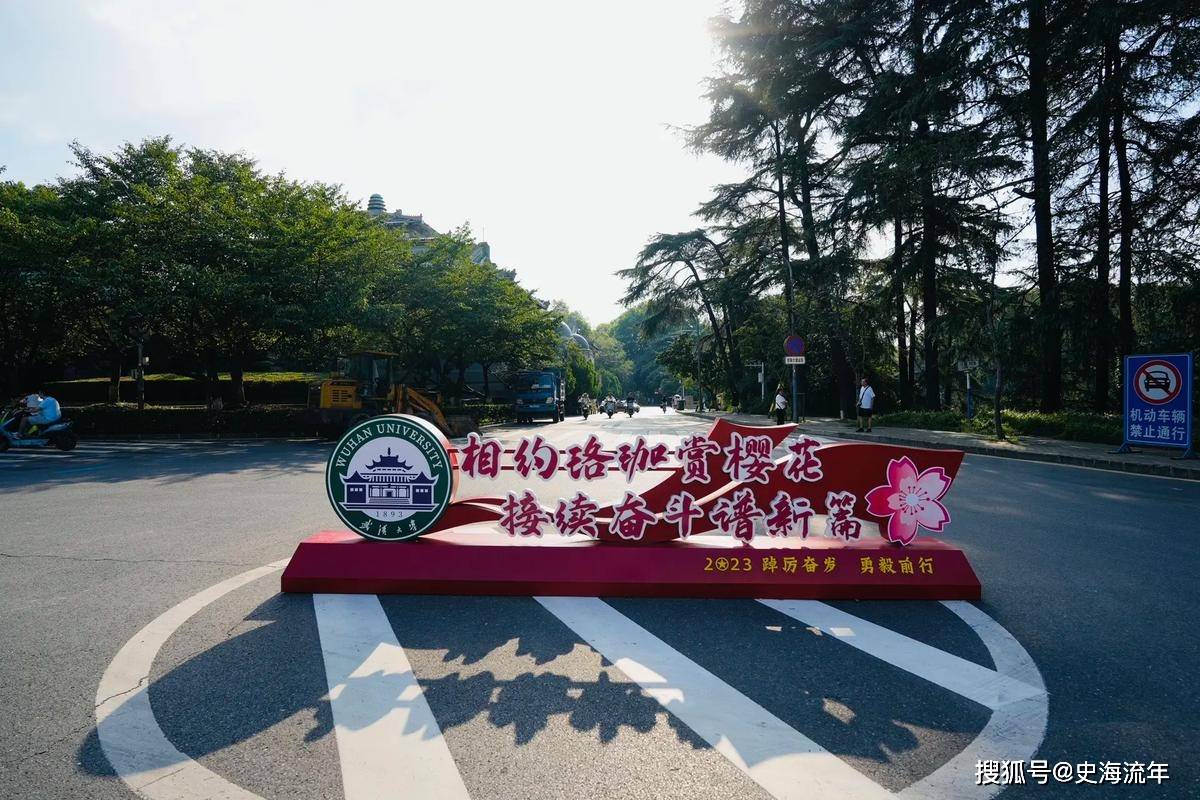 珞珈山换新颜！武汉大学2024级本科新生大数据解读，天蝎座最多