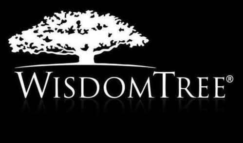 WisdomTree实现战略转型区块链与AI创新吸引全球合作伙伴