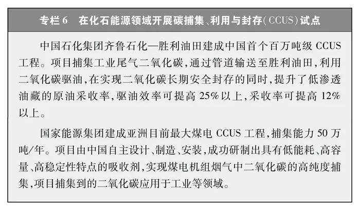 中国的能源转型白皮书（全文）(图8)