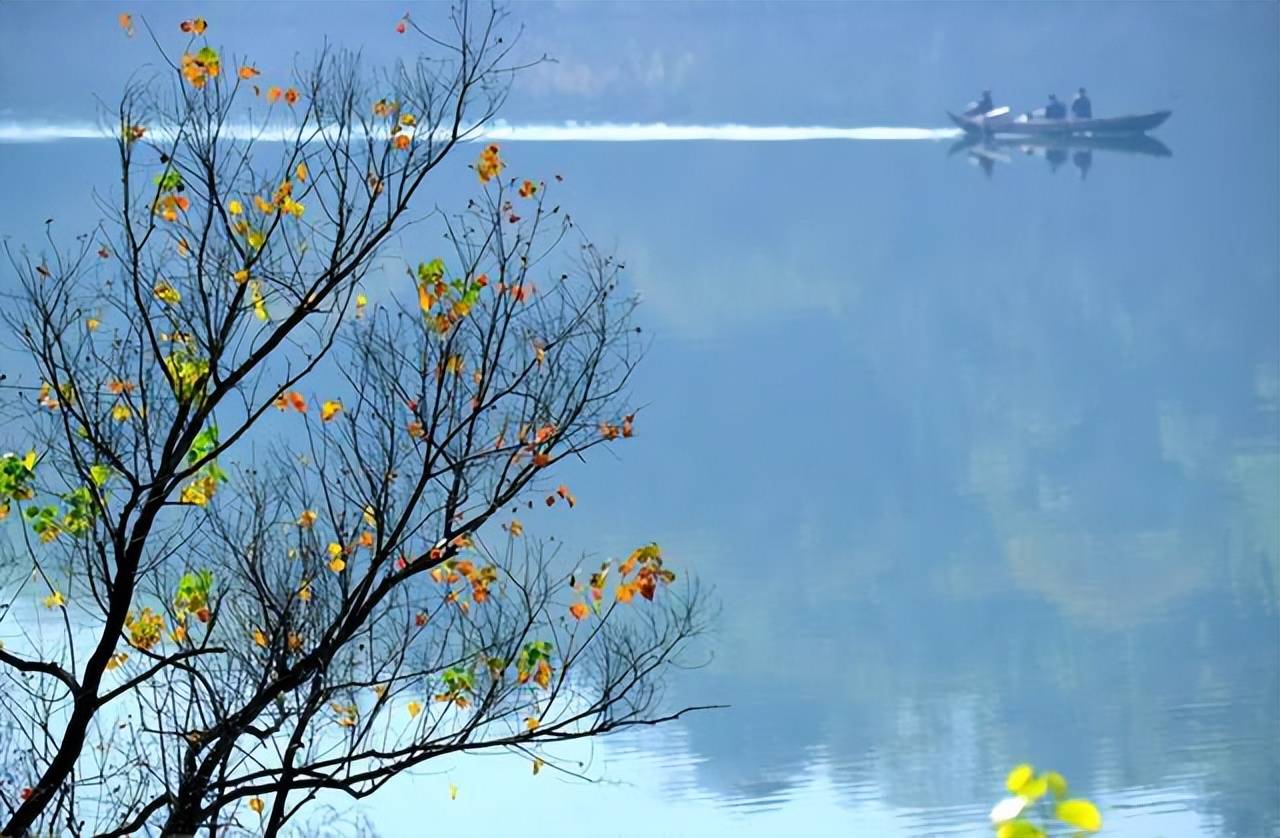 二十首有关秋江之景的诗词,半村黄叶斜阳里,一片闲云古渡头