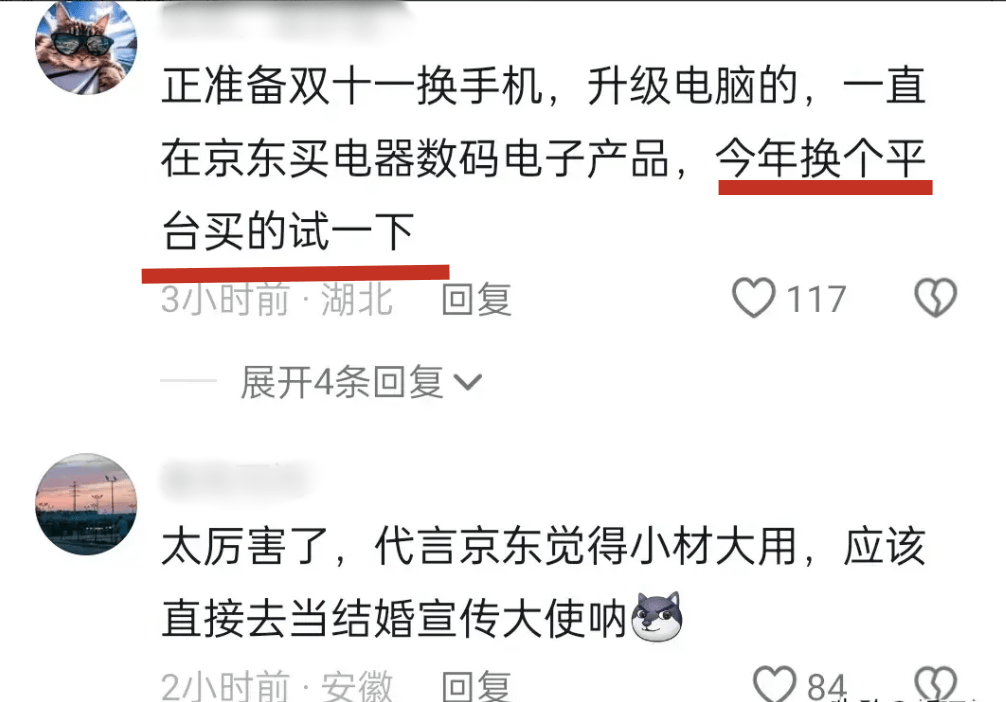 原创 蒸发500亿!京东永远不知,请杨笠代言,为何收获了一地鸡毛?-京东品牌代言人:李现,杨紫是真的吗