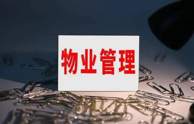 文章配图-3