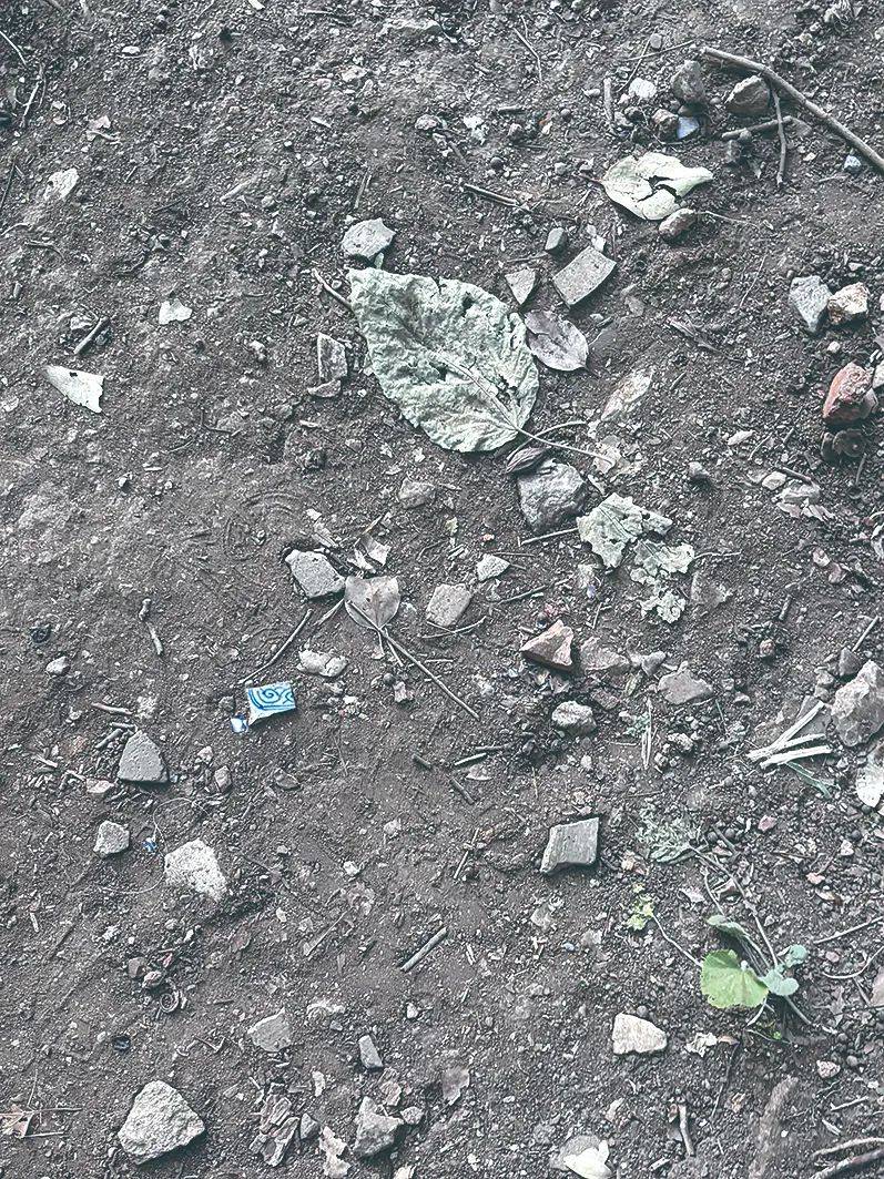 突然火了!杭州这座山上能捡到清朝小药瓶?专家回应 突然火了!杭州这座山上能捡到清朝小药瓶?专家回应