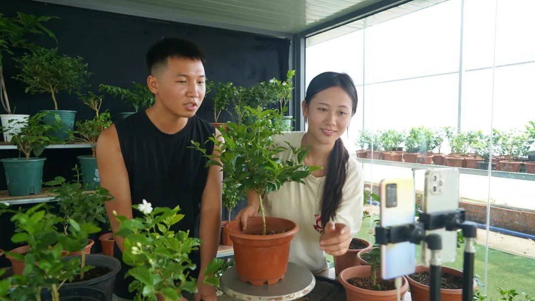 美嘉体育app百亿产业一花开 满城茉莉万里香(图8)