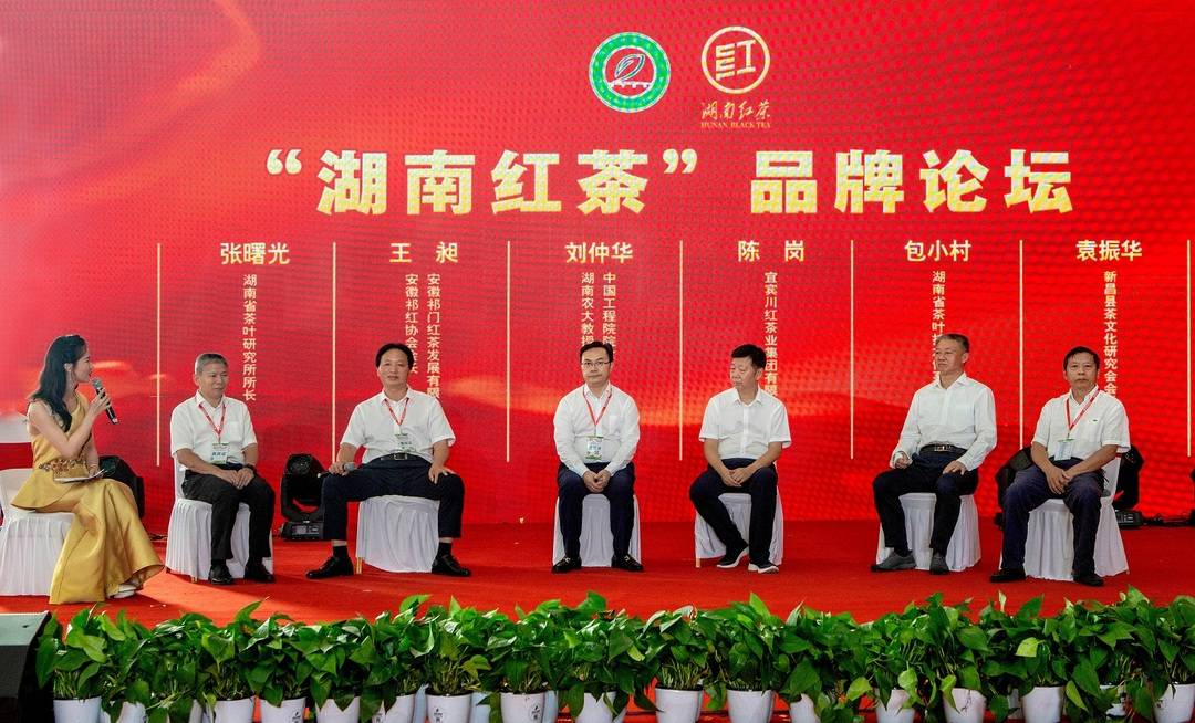 im电竞官网湖南红茶告竣归纳产值280亿