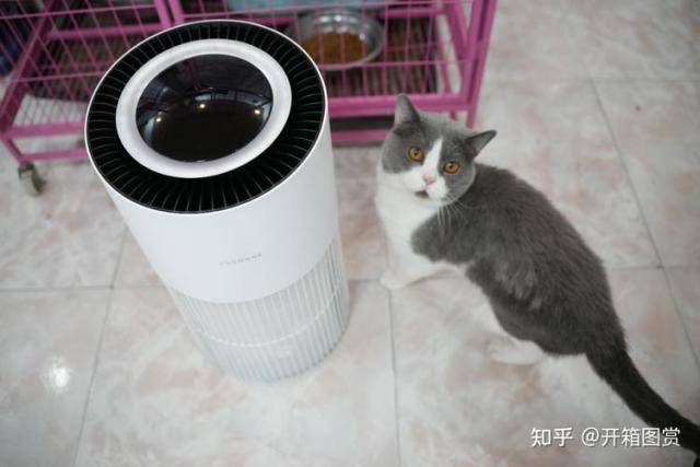空气净化器除甲醛真的有效果吗？绝不能错过的空气JN江南入口净化器品牌合集(图9)