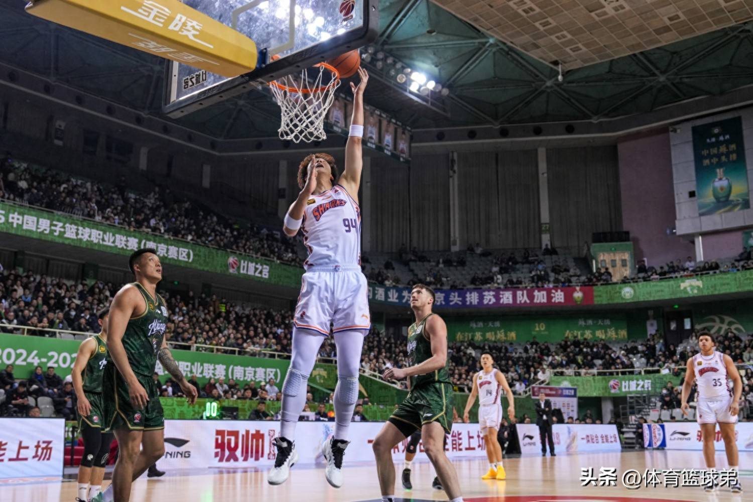 CBA盘口与数据深度__今日CBA盘口分析·大小分策略·球队档案大小王出世王哲林无缘正主现身