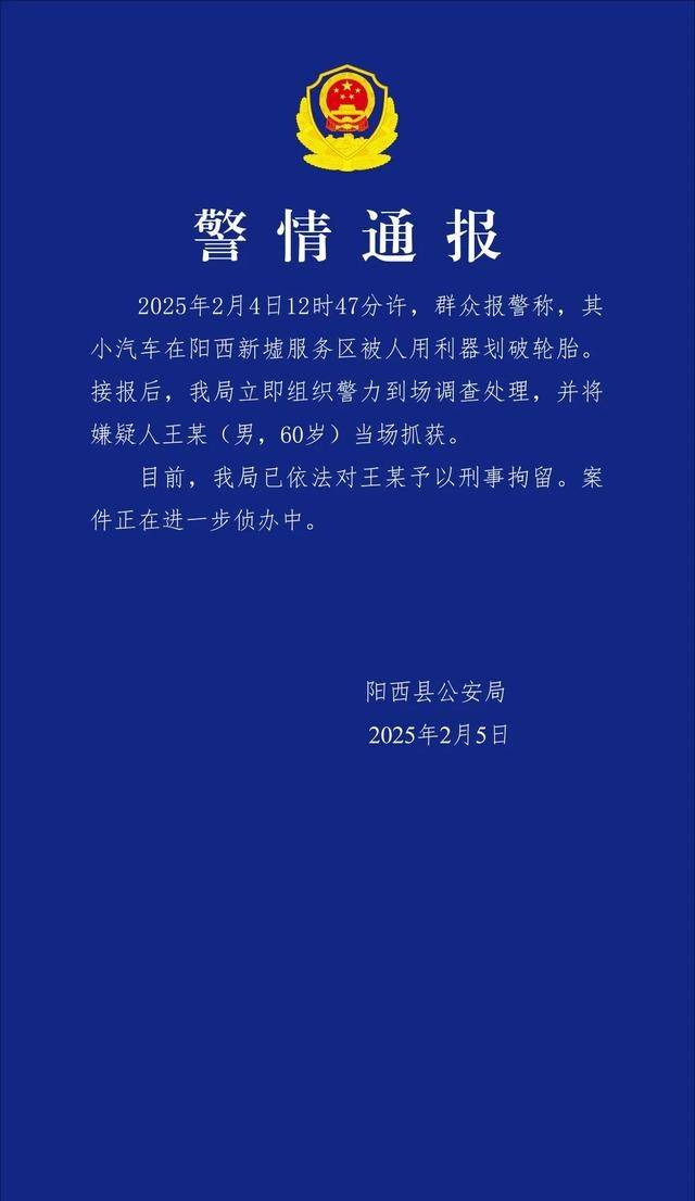 开云全站服务区车胎被划诈补后续：哨兵模式曝光细节60岁嫌疑人已被刑拘(图13)