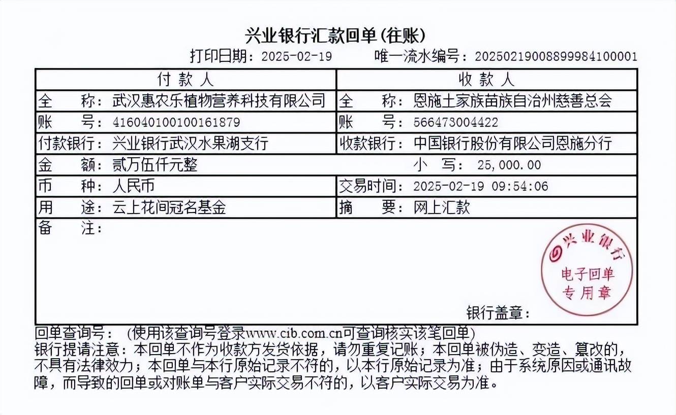 汇款电子回单作为联结恩施与武汉的桥梁,武汉恩施商会在此次行动中展现