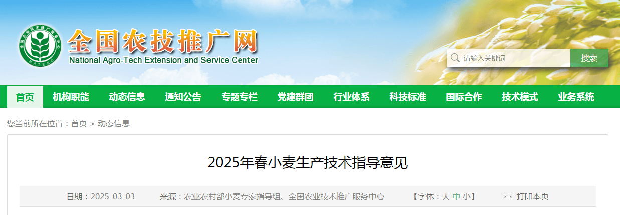 2025 春小麦生产关键指引：全国农技推广中心发布最新技术意见