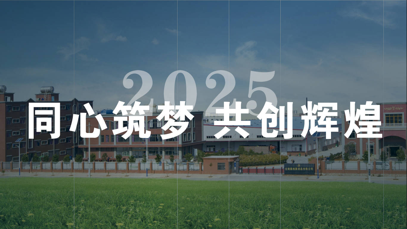 代理ip系统平台