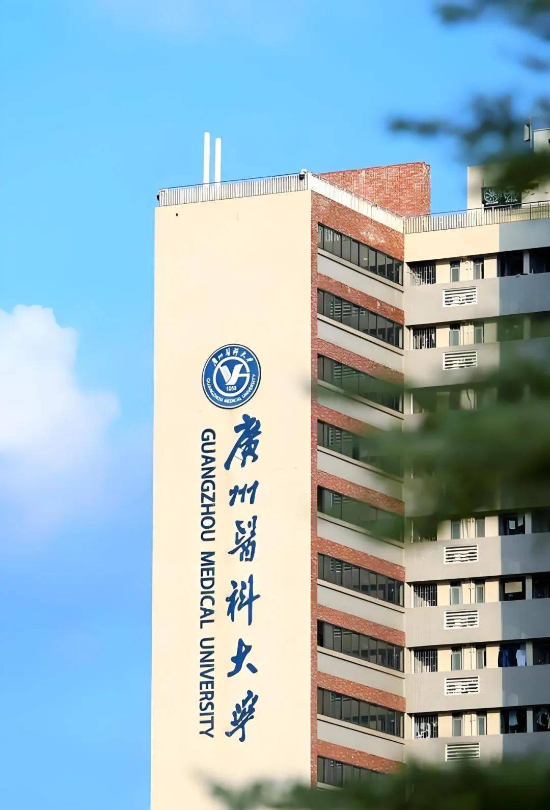 广州医科大学2025年高等学历继续教育成人高考招生简章