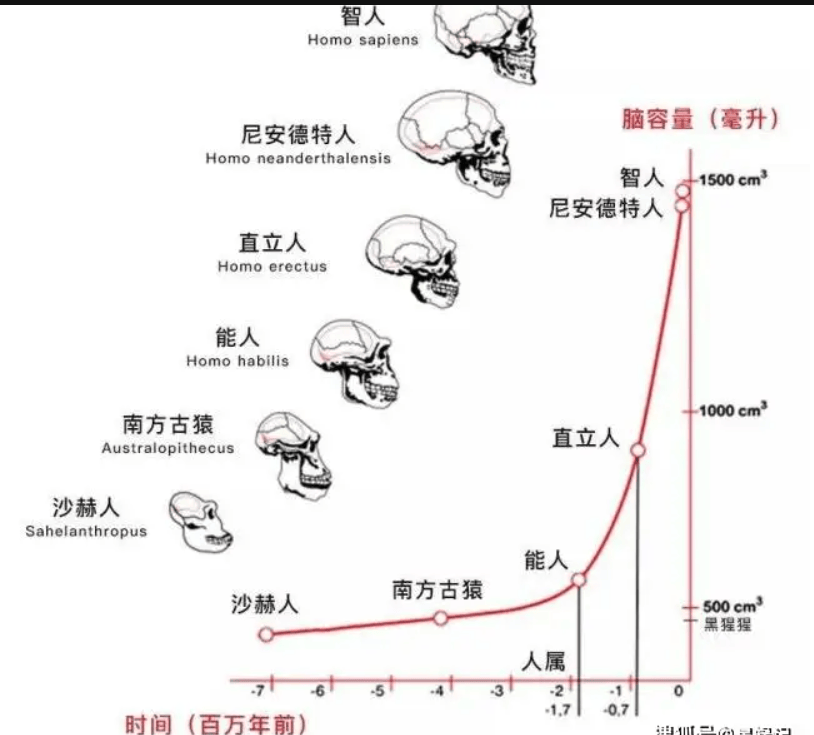 原创             世界上本来没有人，那么第一个人是怎么来的？