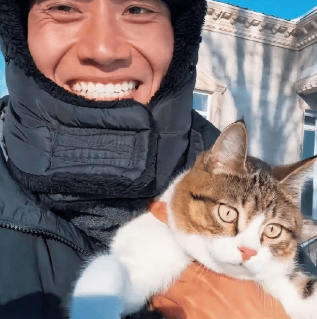 泪崩，网红小猫“悟空”遭车祸去世！主人：曾希望它有72条命