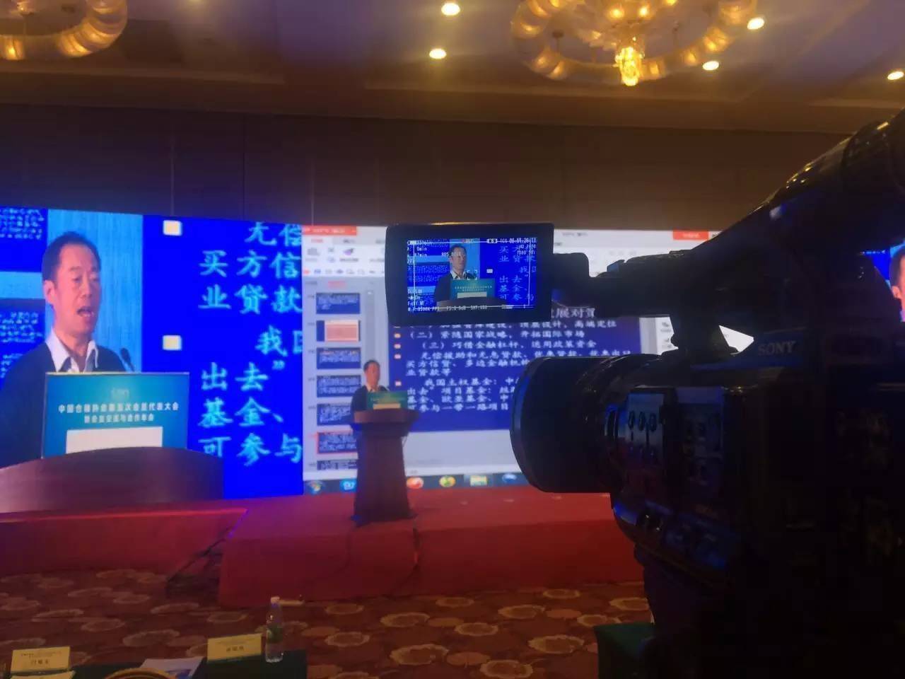 福州摄影工作室 工作室摄影 拍摄 婚庆公司(图2)