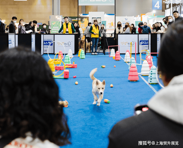JN江南下载2025韩国宠物用品展览会KPET(图2)