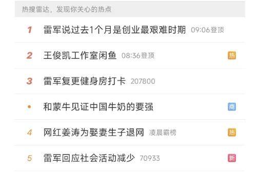 低落的雷军，和漩涡里的小米汽车