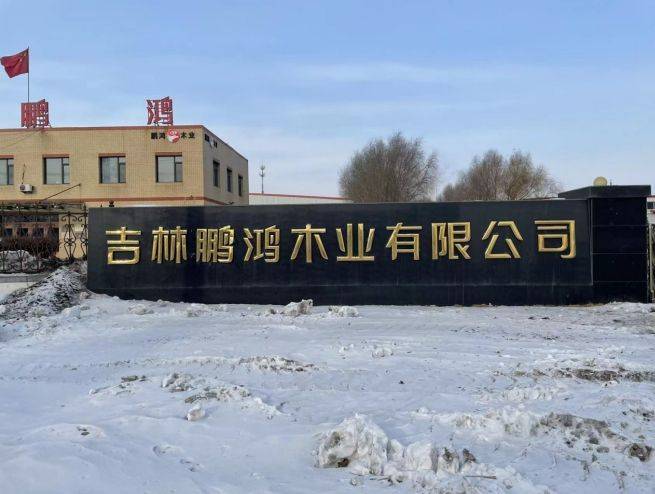 2025衣柜定成品牌排行榜揭晓：环保黑马企业强势登榜