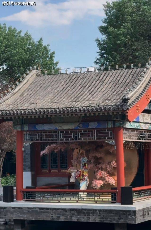 汪小菲大婚全过程曝光，众人都笑仅一人落泪，对比大S婚礼太相似